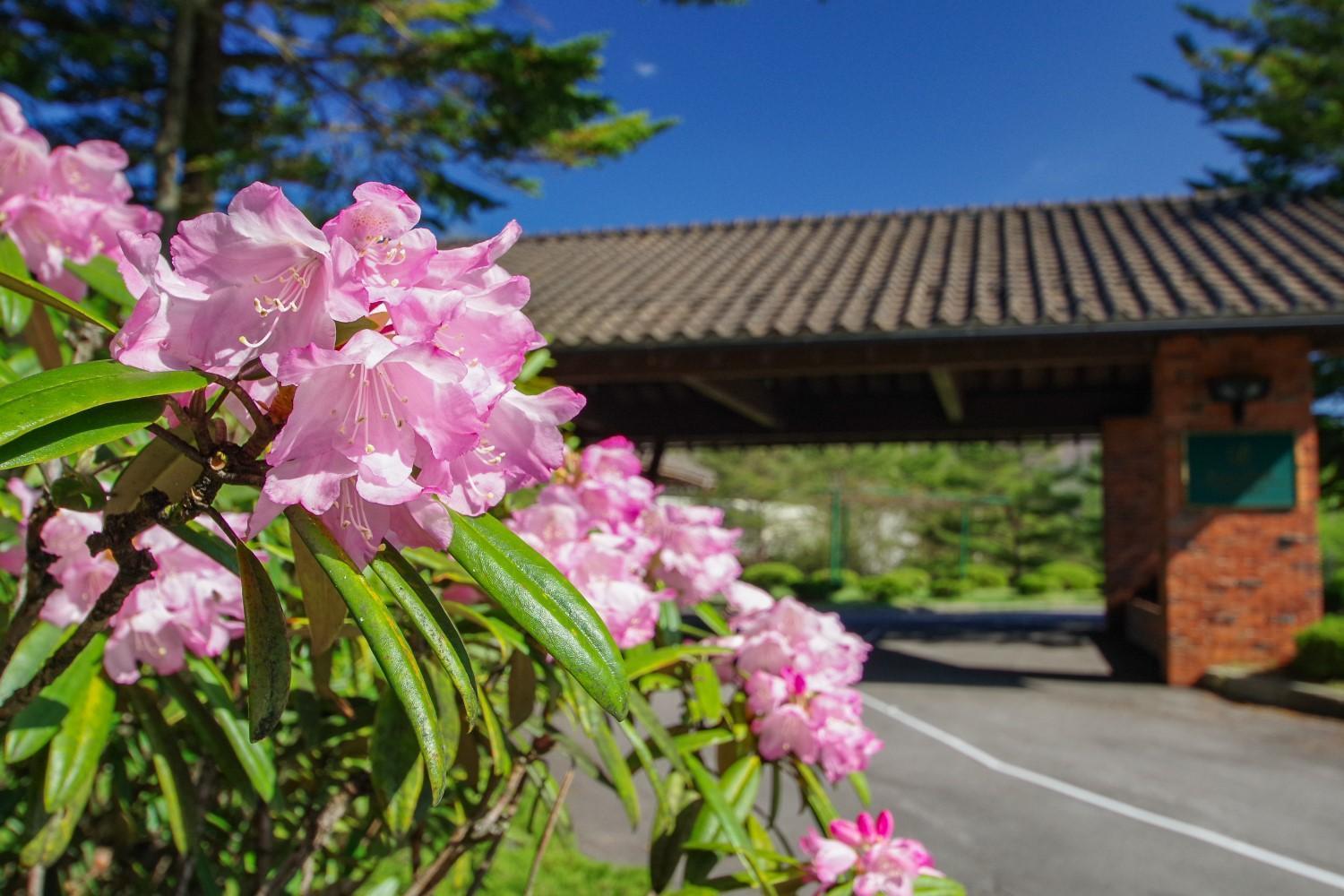 嬬恋王子酒店 嬬恋村 外观 照片
